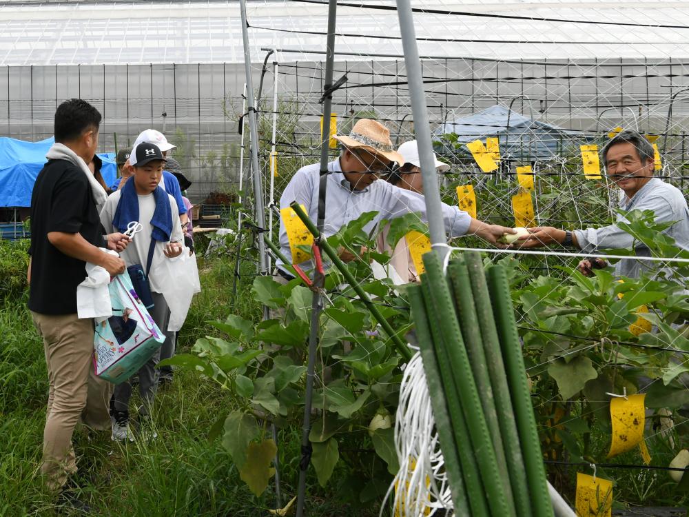 ライオンズクラブ335-C地区 クラブ活動ブログ