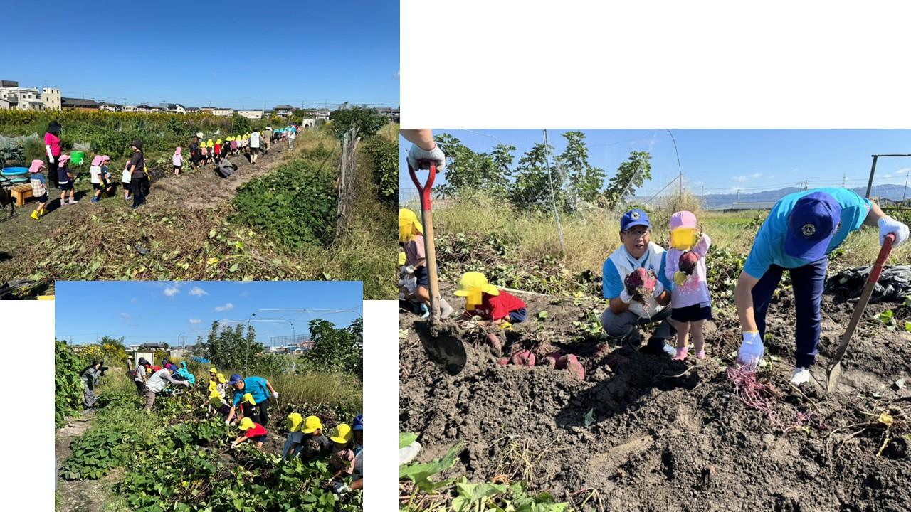 ライオンズクラブ335-C地区 クラブ活動ブログ